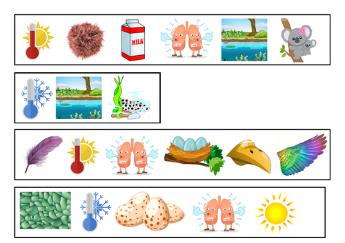 Pictorial Animal Classification Grids | Teaching Resources