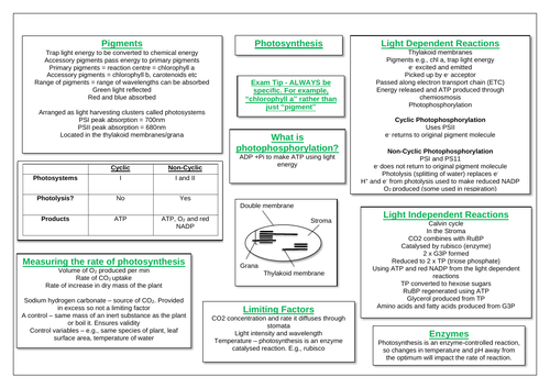 Photosynthesis revision A Level | Teaching Resources