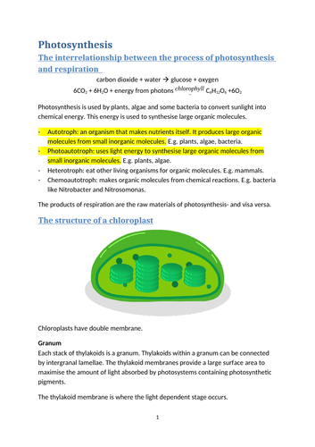 docx, 426.98 KB