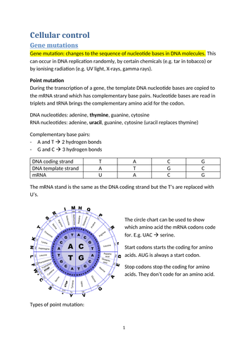 docx, 312.11 KB