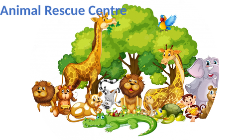Animal Rescue Role Play