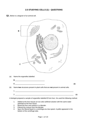 A level Biology - Cells COMPLETE Exam Q&A packs | Teaching Resources