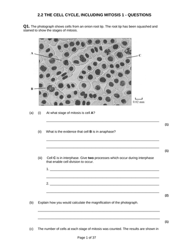 A level Biology - Cells COMPLETE Exam Q&A packs | Teaching Resources