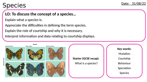 AS/A2-Level AQA Biology Species (Courtship Displays/Behaviour) Full Lesson