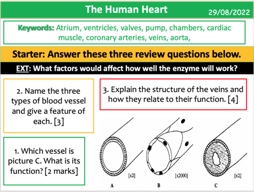 the-human-heart-teaching-resources