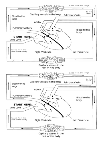 docx, 430.61 KB