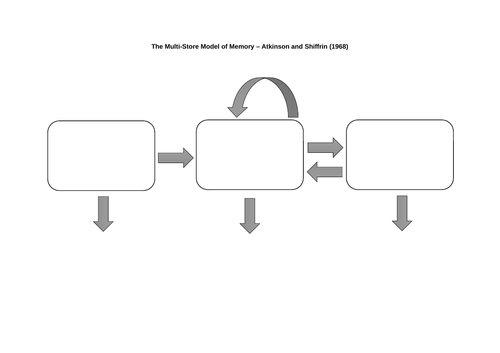 Blank Multi Store Model of Memory Diagram Teaching Resources