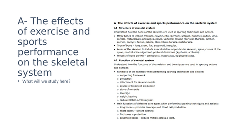 Unit 1 Anatomy And Physiology Effects Of Exercise Skeletal System Teaching Resources 9845