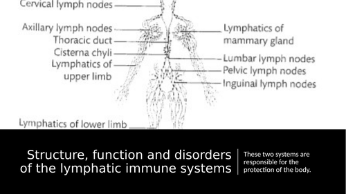 Lymphatic System Teaching Resources