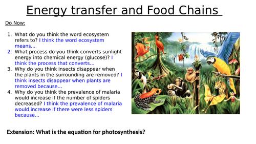 Energy Transfer and Food Chain - KS4 Biology Diagrams