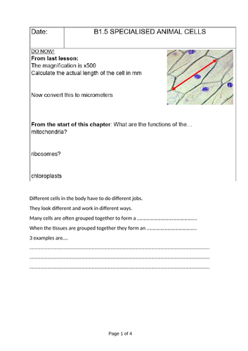 SPECIALISED PLANT AND ANIMAL CELLS | Teaching Resources