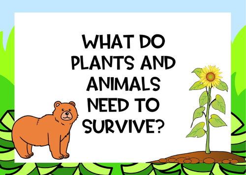 What Animals And Plants Need To Survive | Teaching Resources