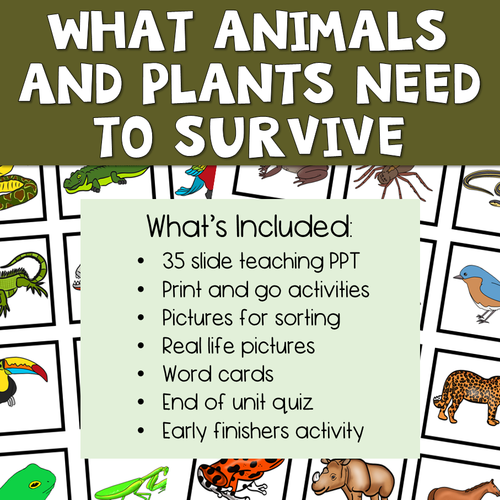 What Animals And Plants Need To Survive Teaching Resources