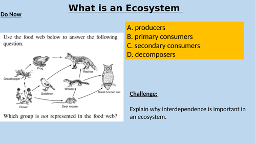 Ecosystem: Abiotic and Biotic factors | Teaching Resources