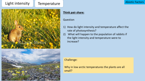 Ecosystem: Abiotic and Biotic factors | Teaching Resources