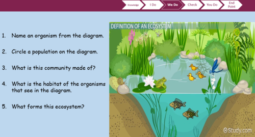 Ecosystem: Abiotic and Biotic factors | Teaching Resources