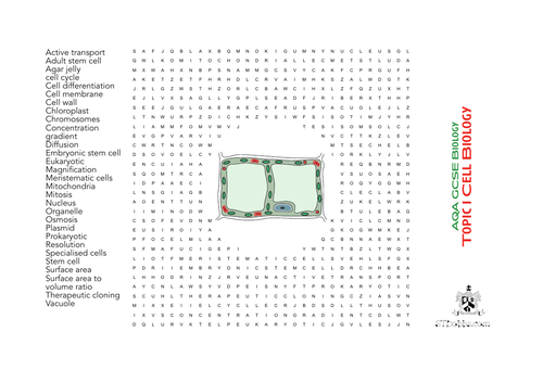 Wordsearch: AQA GCSE Biology Topic 1 Cell Biology