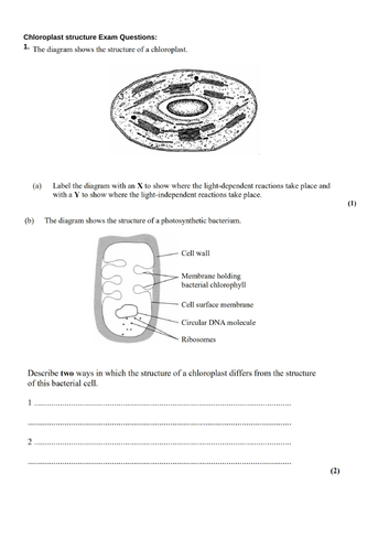 docx, 1000.04 KB