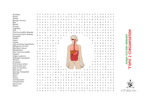 Wordsearch: AQA GCSE Biology Topic 2 Organisation