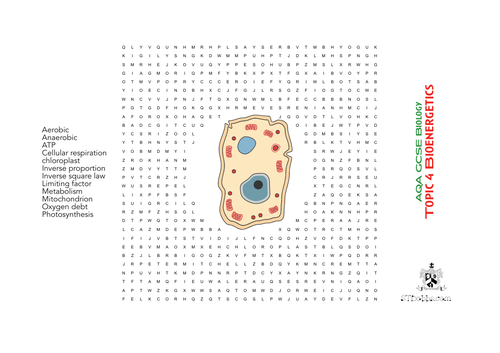 Wordsearch AQA GCSE Biology Topic 4 Bioenergetics