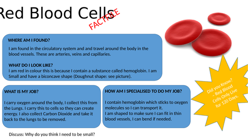 KS3 Year 7 - Cells: Specialised Cells | Teaching Resources