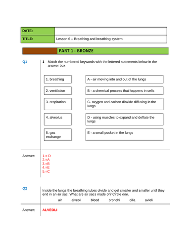 docx, 50.19 KB