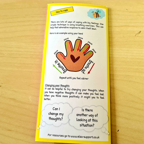 ELSA SUPPORT anger leaflet emotional regulation Teaching Resources