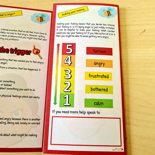 ELSA SUPPORT anger leaflet emotional regulation Teaching Resources