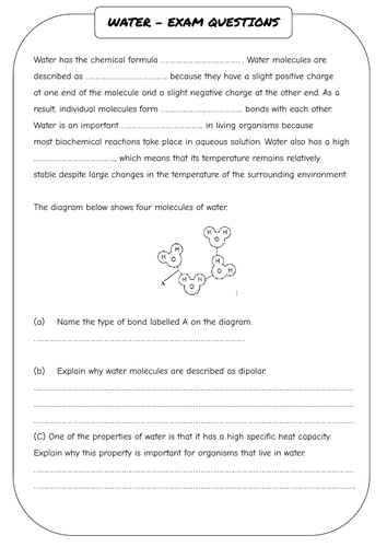 A level Biology - Water and a Biological Molecule WORKSHEET | Teaching ...