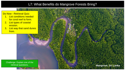 Mangrove Forests