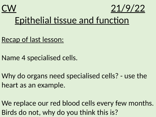 Epithelial Tissue | Teaching Resources