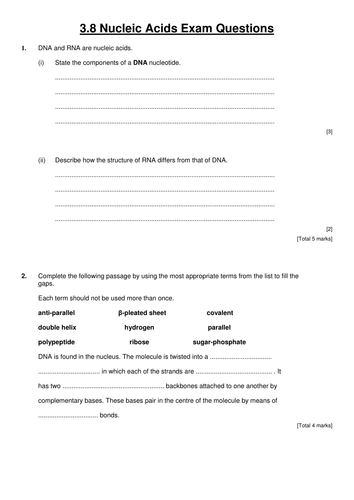 AQA nucleotides, RNA and DNA structure | Teaching Resources