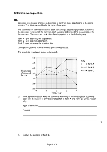 docx, 63.4 KB