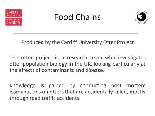 Food chains featuring otters Biology Diagrams