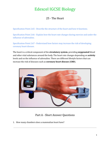 Edexcel IGCSE Biology Worksheet 25 - The Heart | Teaching Resources
