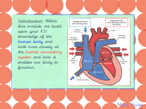 Science - Animals including humans L1 - Body Pump (Upper KS2 - Year 6)