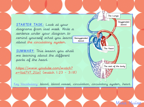 Science - Animals including humans L2 - Body Pump (Upper KS2 - Year 6)