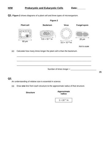 docx, 187.48 KB