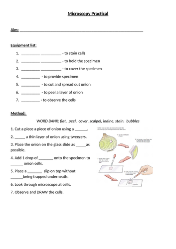 Microscopy practical (onion) GCSE HIGHER