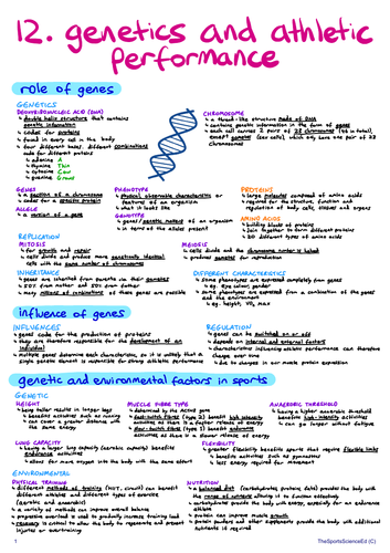 ib-sehs-revision-notes-teaching-resources