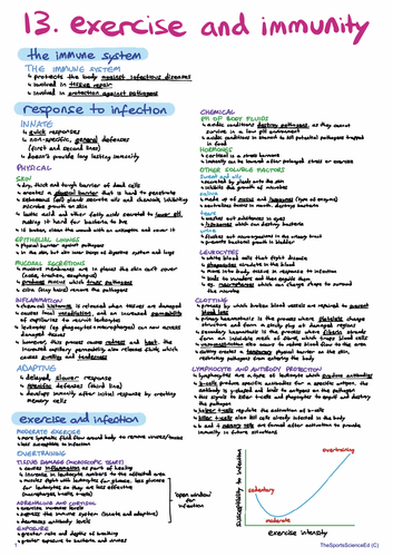 ib-sehs-revision-notes-teaching-resources