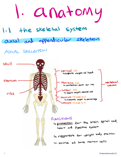 ib-sehs-revision-notes-teaching-resources
