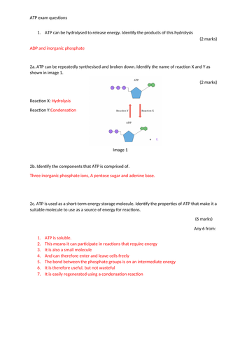 docx, 91.28 KB