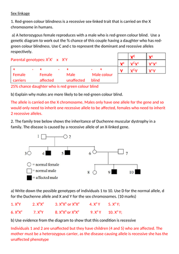 Sex Linkage A Level Biology Teaching Resources