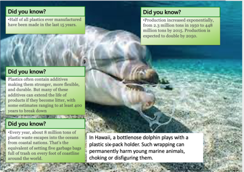 Plastic Pollution + Recycling - PSHE | Teaching Resources