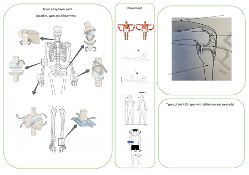 VCERT NCFE Health and Fitness Mind Maps (Unit 1 revision) | Teaching ...
