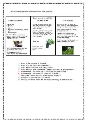 F S How To Grow Potatoes Leaflet Comprehension Teaching Resources