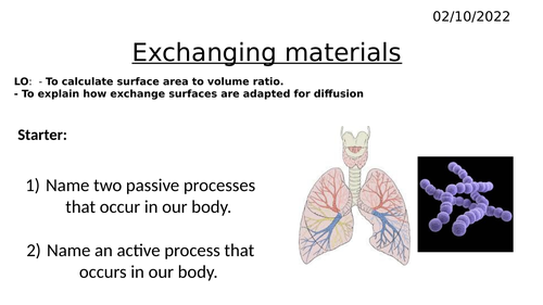 B1.10 Exchanging Materials (AQA)