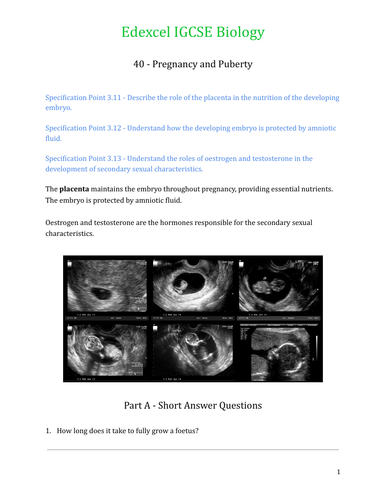 Edexcel IGCSE Biology Lesson 40 - Pregnancy and Puberty | Teaching ...