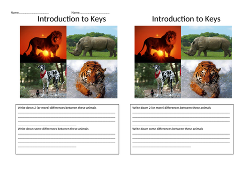 KS2 Biology Introduction to Keys, powerpoint and worksheets | Teaching ...